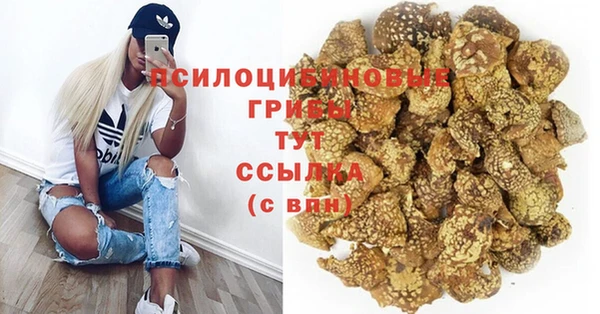 ешки Галич