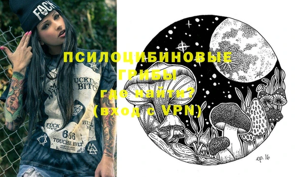 крисы Лабытнанги